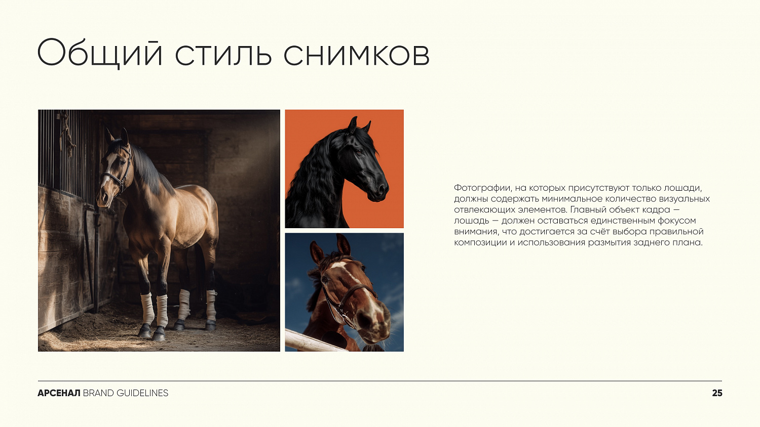 создание бренда, конно-спортивный клуб,